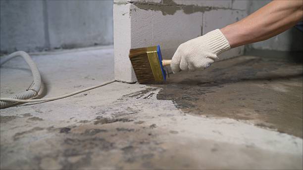 Top rated local Wet Basement Repair specialists in Harriman, TN